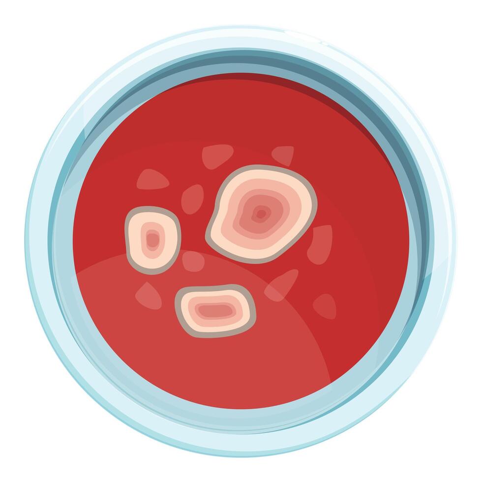 Petri dish with growing bacteria colonies illustration vector