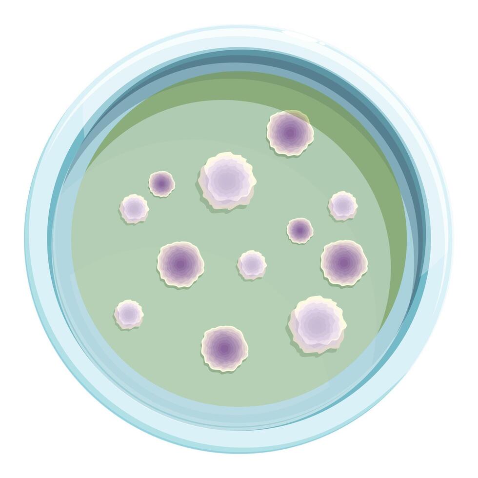 Petri dish with colonies of bacteria growing on agar vector