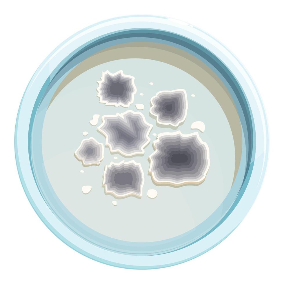 Petri dish with colonies of bacteria growing on agar vector