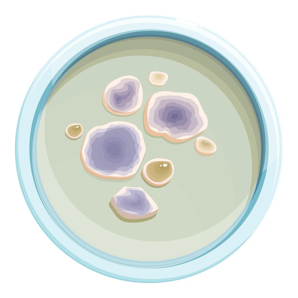 Petri dish with colonies of bacteria growing in it vector