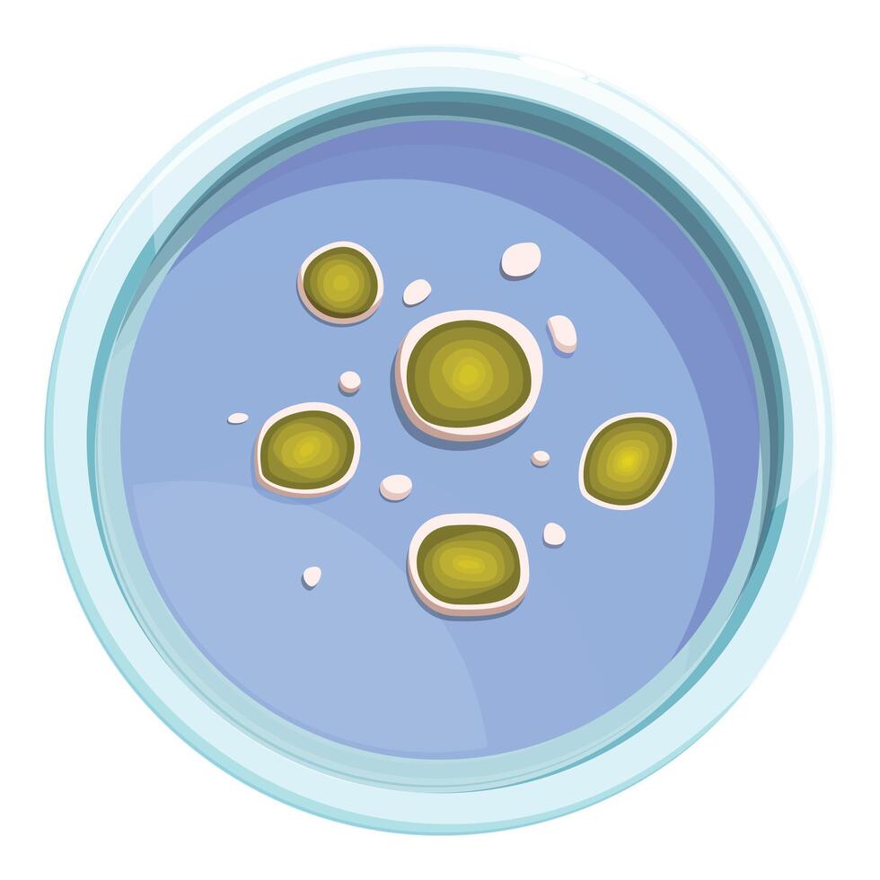 Petri dish with colonies of bacteria growing on agar plate vector