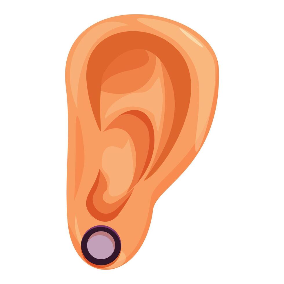 Human ear with earring showing auricle lobule and tragus vector