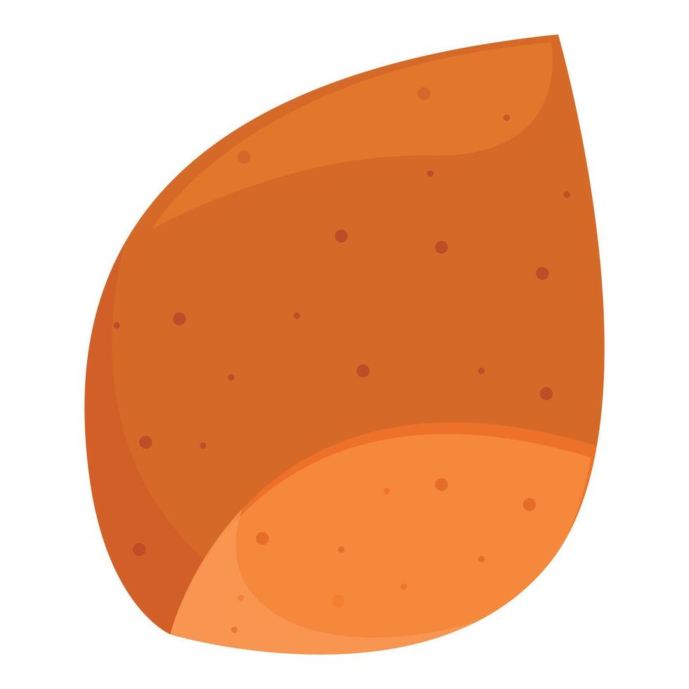 Half of a sweet potato showing its orange flesh vector