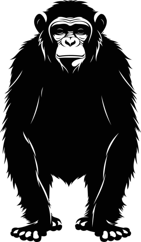 A black and white chimpan standing on a white background vector