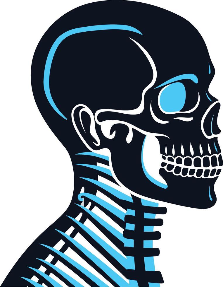 The human skeleton vector