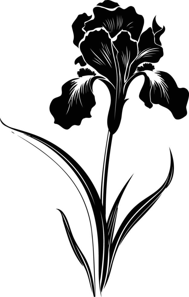 Black and white iris flower vector