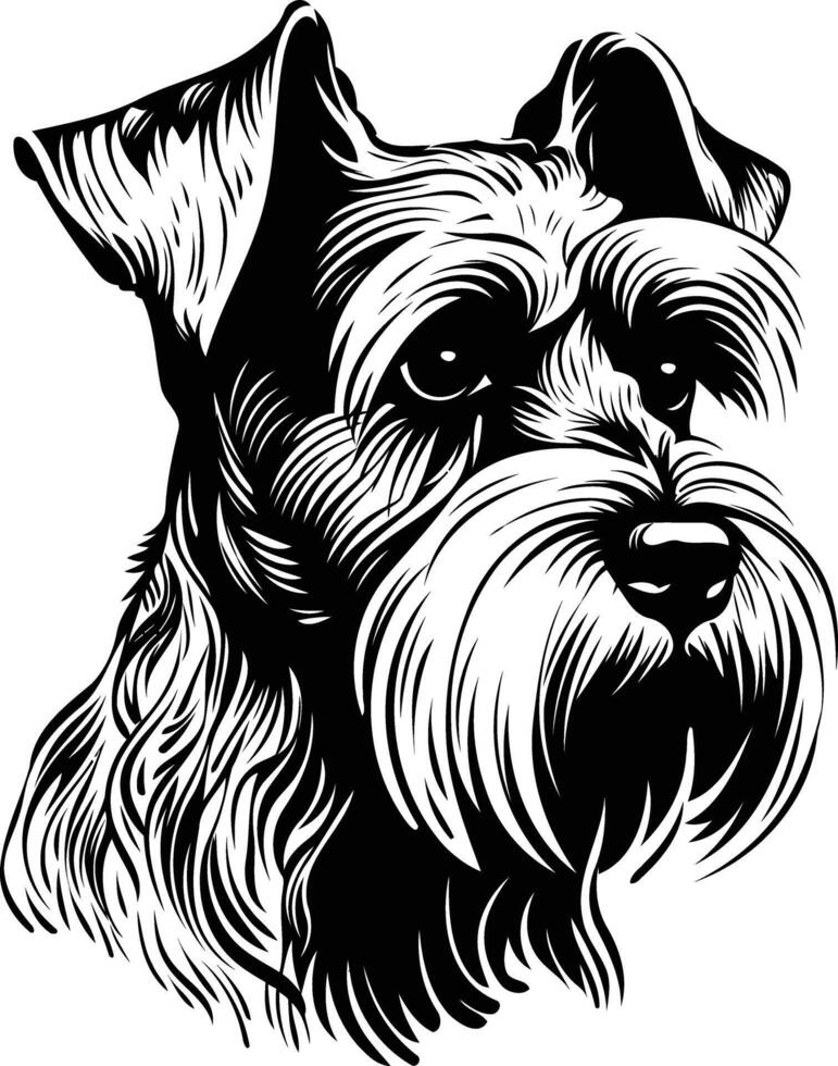 Schnauzer dog head vector
