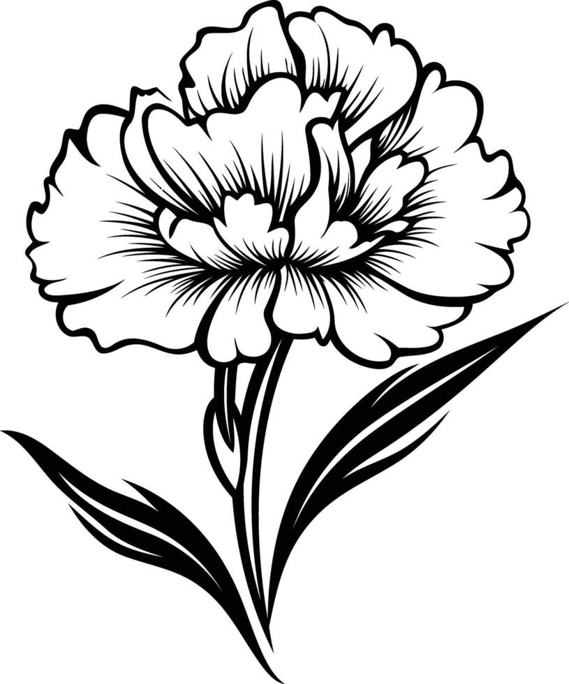 A black and white flower with leaves vector