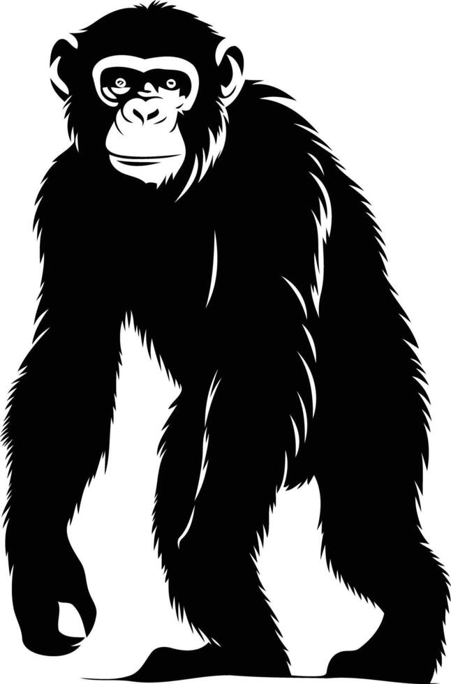 A chimpanzee is standing on its hind legs vector