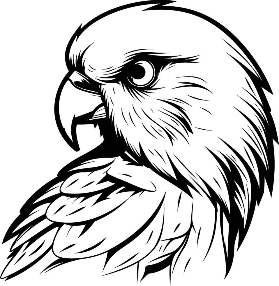 A black and white drawing of an eagle head vector