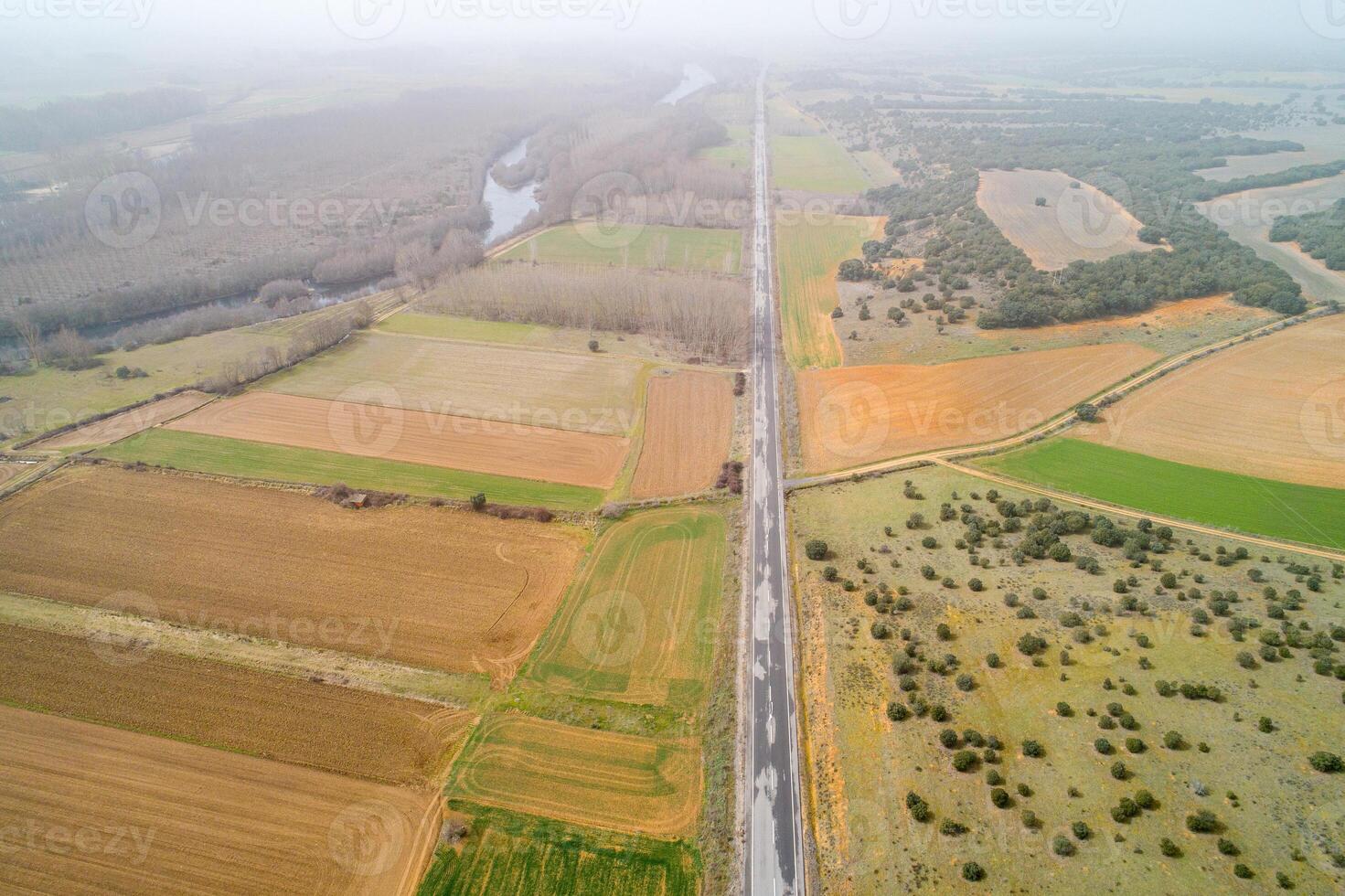 Aerial view of agricultural fields. Aerial top view photo from flying drone of a land with sown green fields in countryside in spring day. Agriculture landscape with grown plants