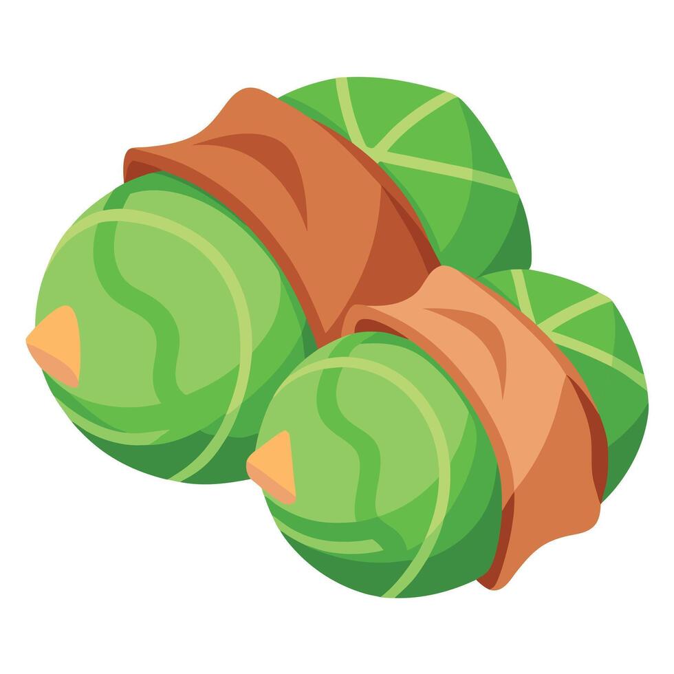 Green Brussels sprouts wrapped in smoked bacon vector