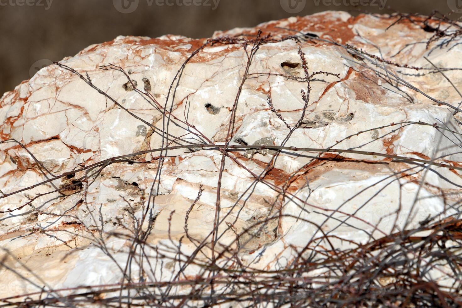 Texture and structure of stone and concrete. Natural background. photo