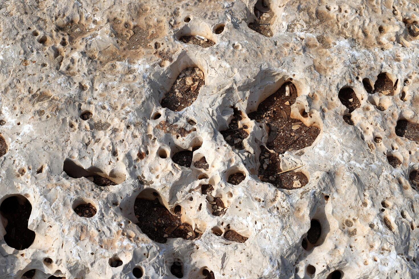 Texture and structure of stone and concrete. Natural background. photo