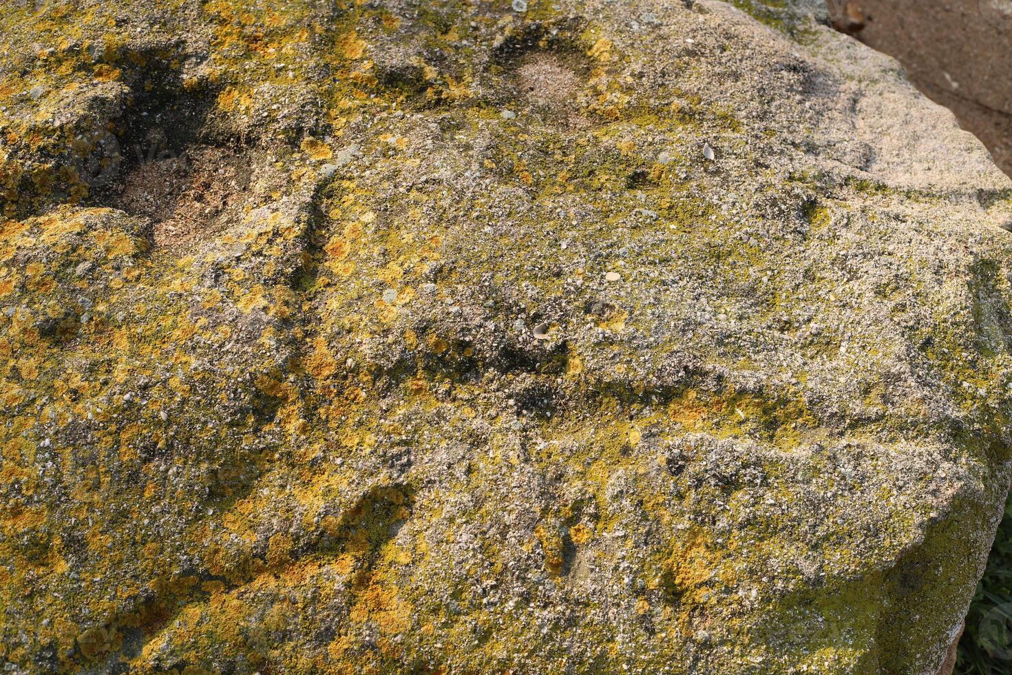 Texture and structure of stone and concrete. Natural background. photo