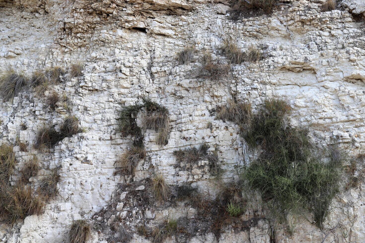 Texture and structure of stone and concrete. Natural background. photo