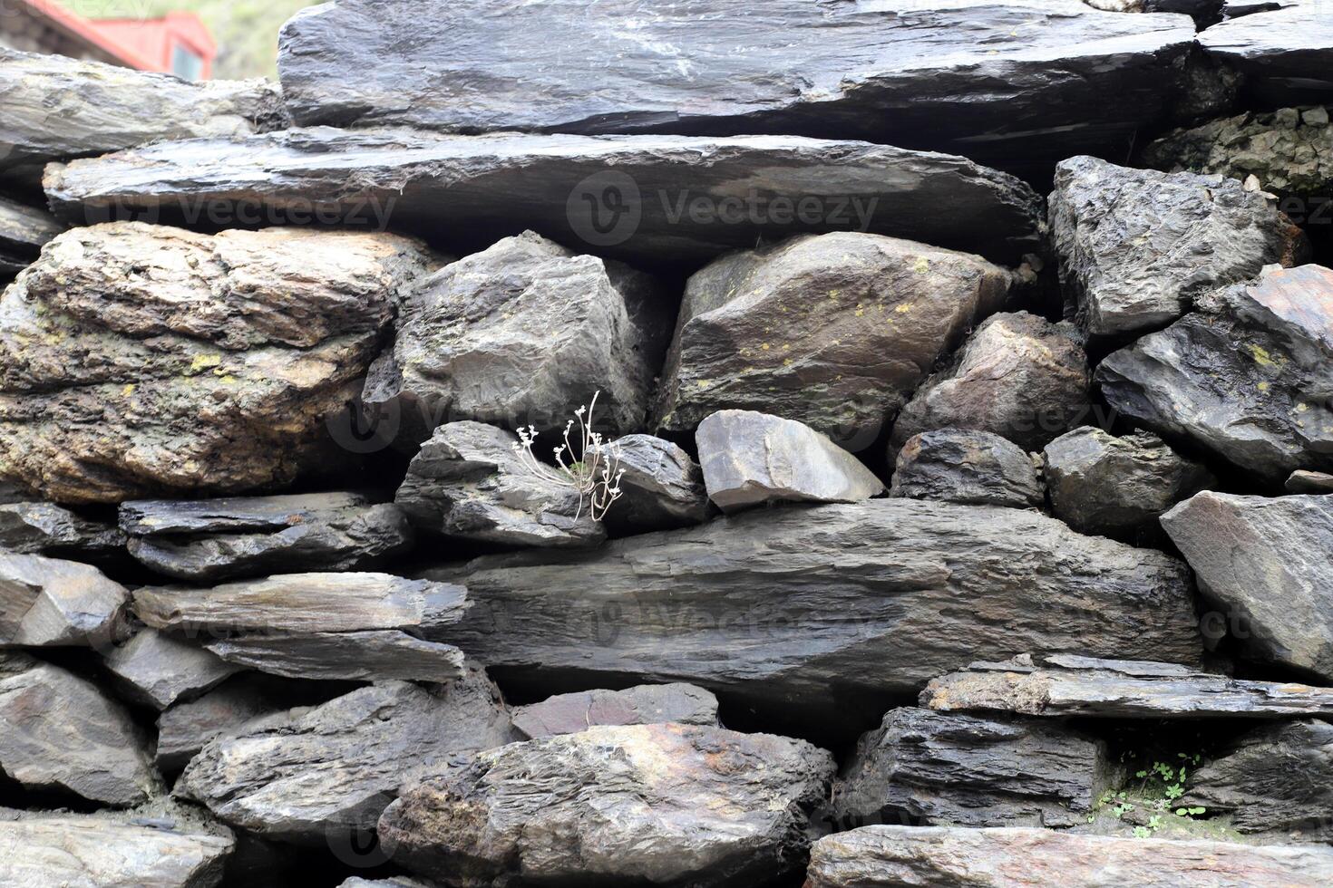 Texture and structure of stone and concrete. Natural background. photo
