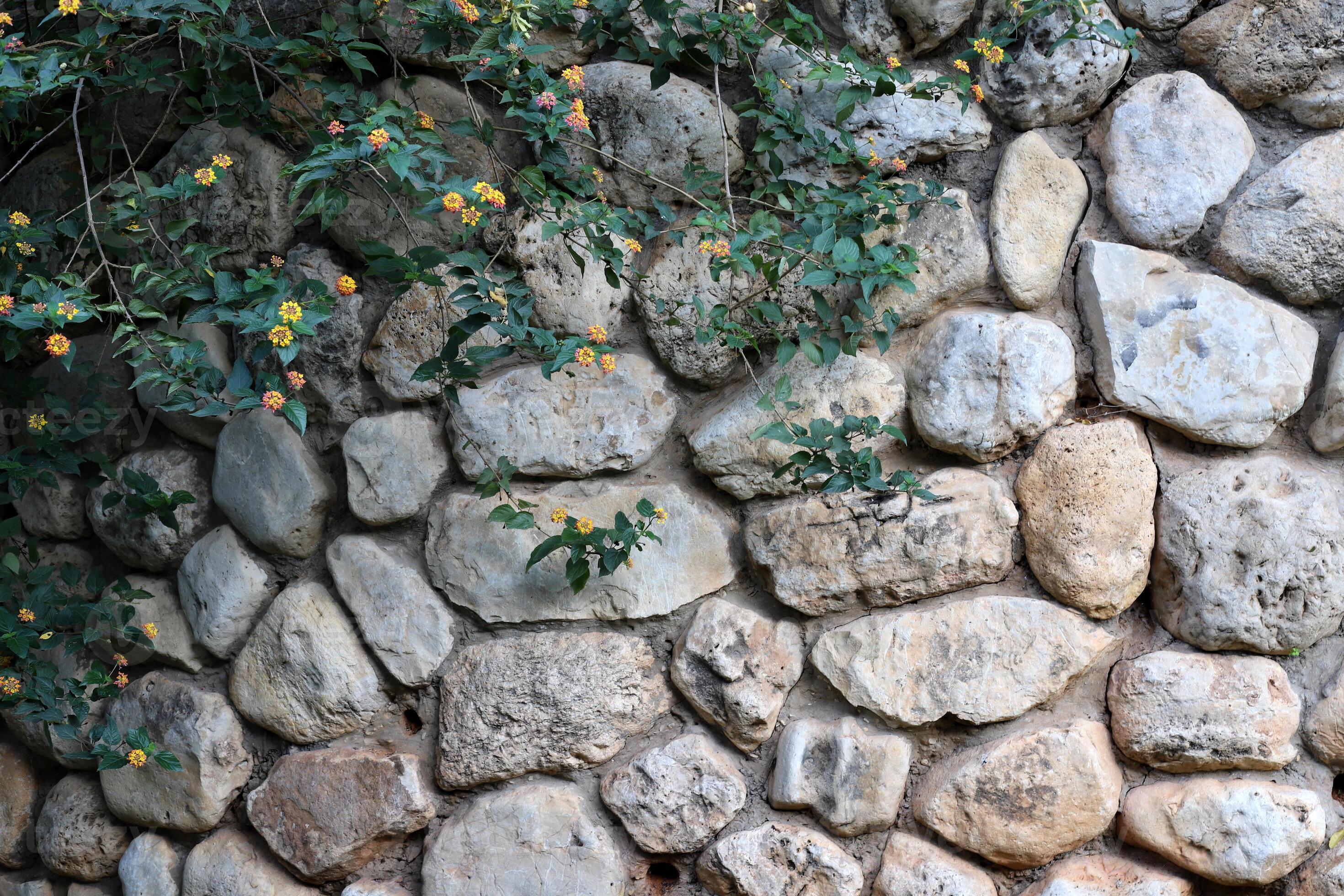 Texture and structure of stone and concrete. Natural background ...
