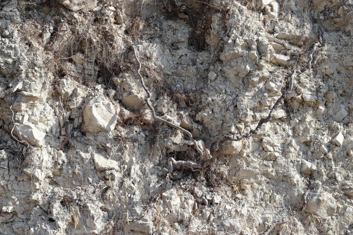 Texture and structure of stone and concrete. Natural background. photo