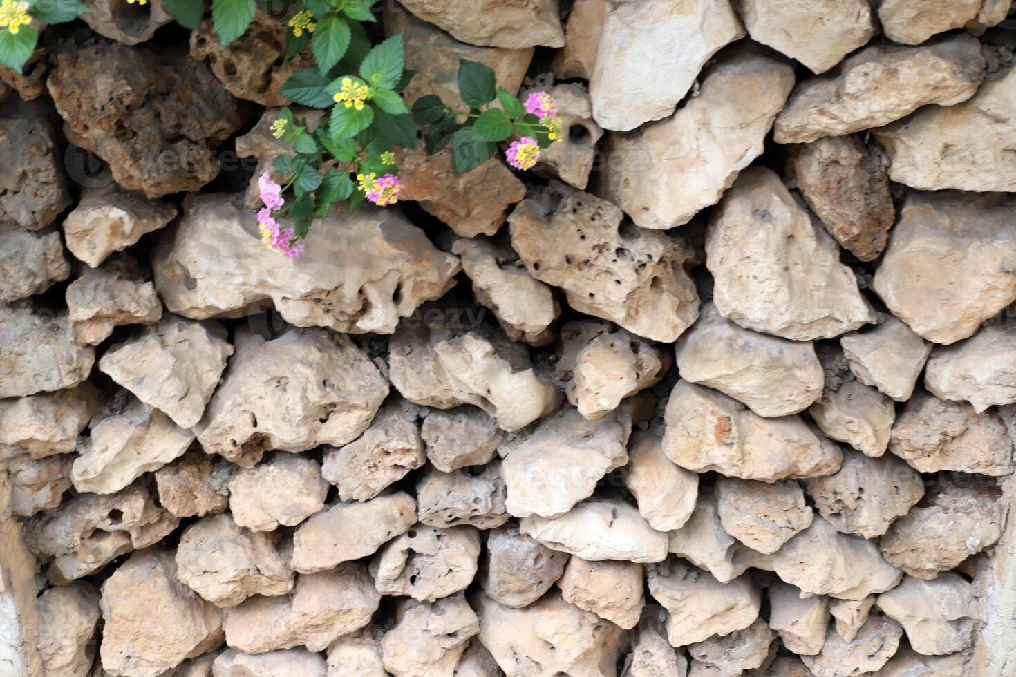 Texture and structure of stone and concrete. Natural background. photo