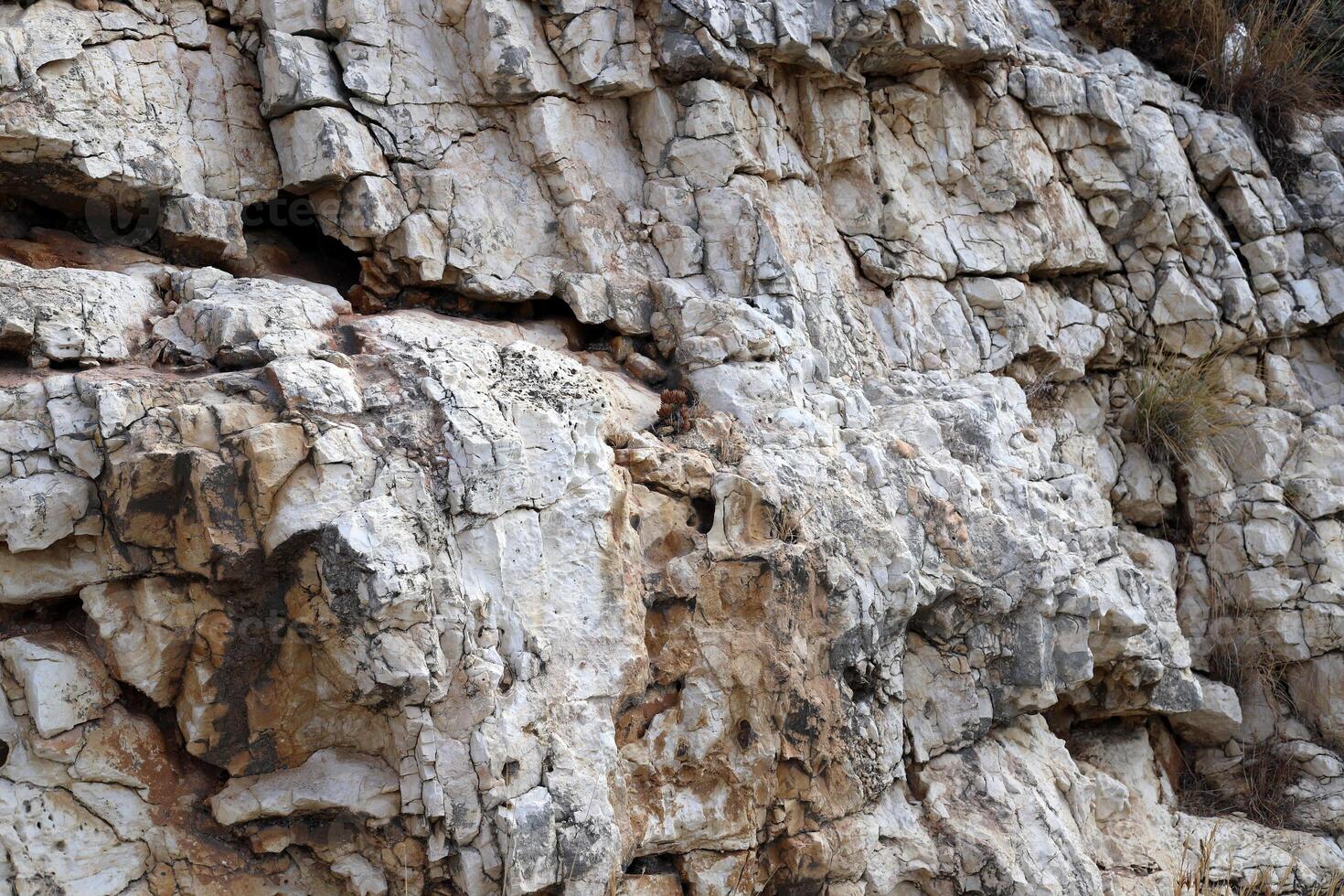 Texture and structure of stone and concrete. Natural background. photo