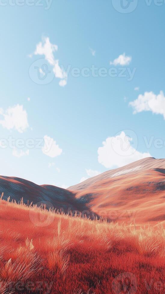 Red grass on hill and blue-sky view with clouds nature environment photo
