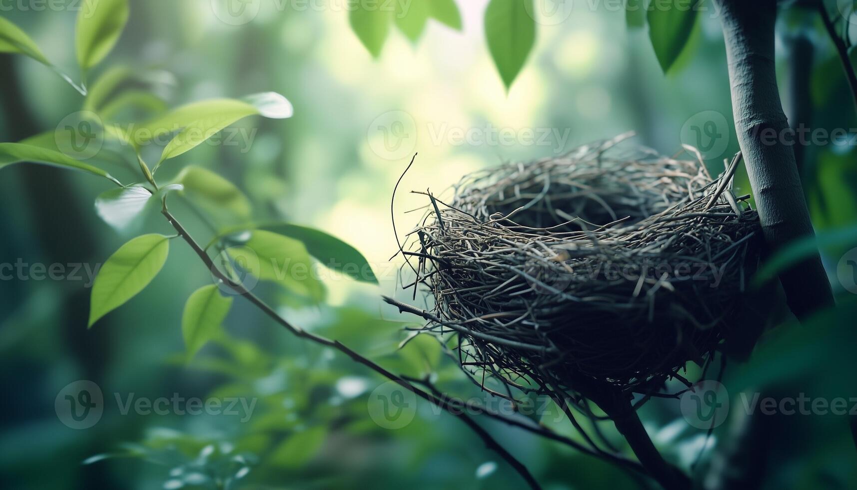 twig animal nest in tree new born house habitat with deep forest blurred background photo