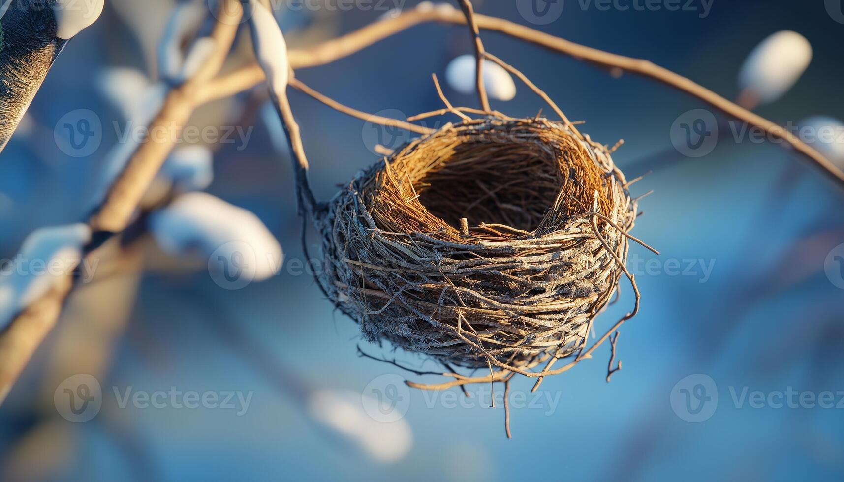 twig animal nest in tree new born house habitat with blue sky blurred background photo