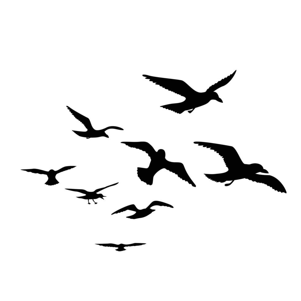 seagull fly silhouette design. wild birds sign and symbol. vector