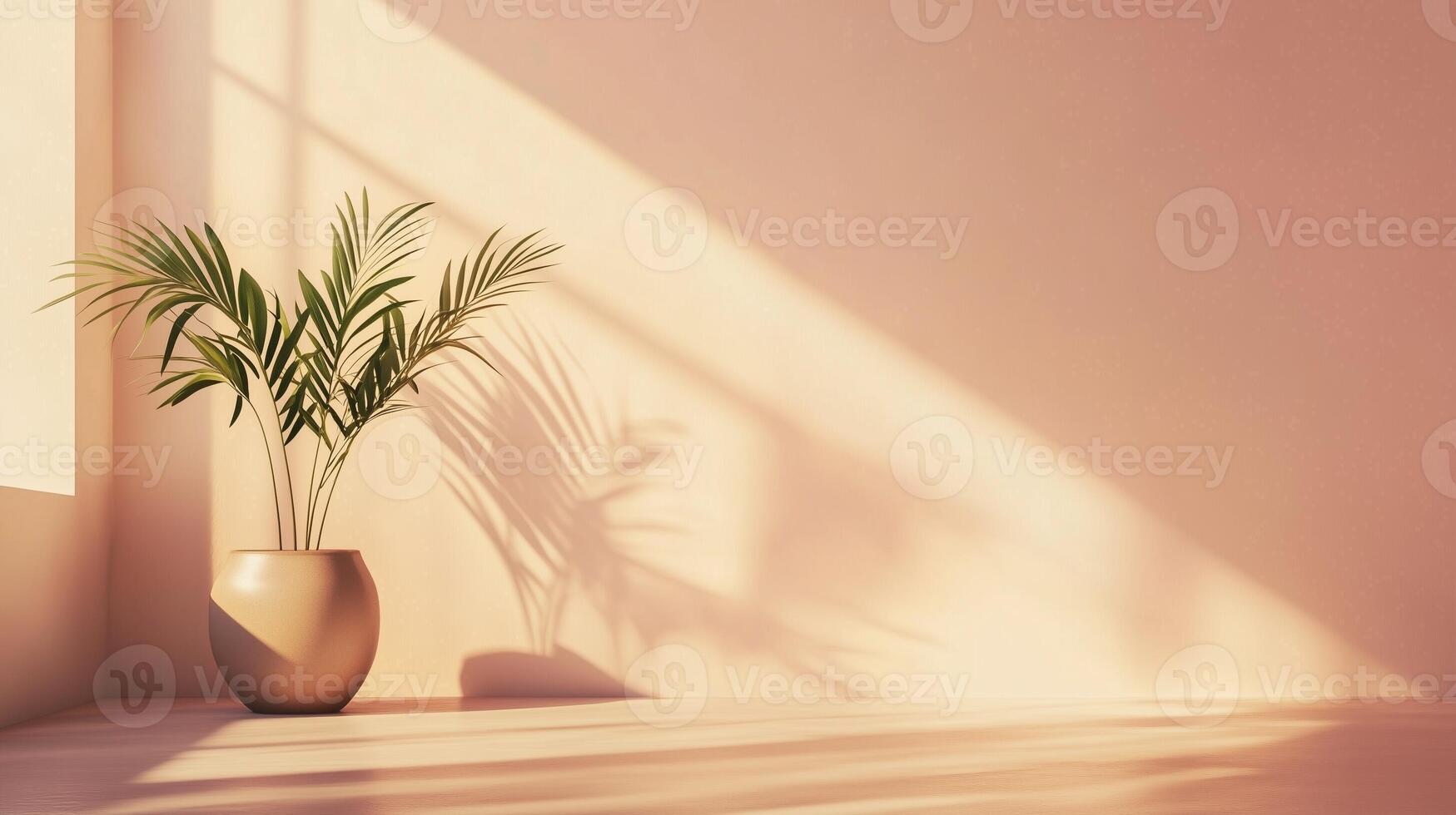 Peach wall cement blank with sun bright shadow from window and pot tree photo
