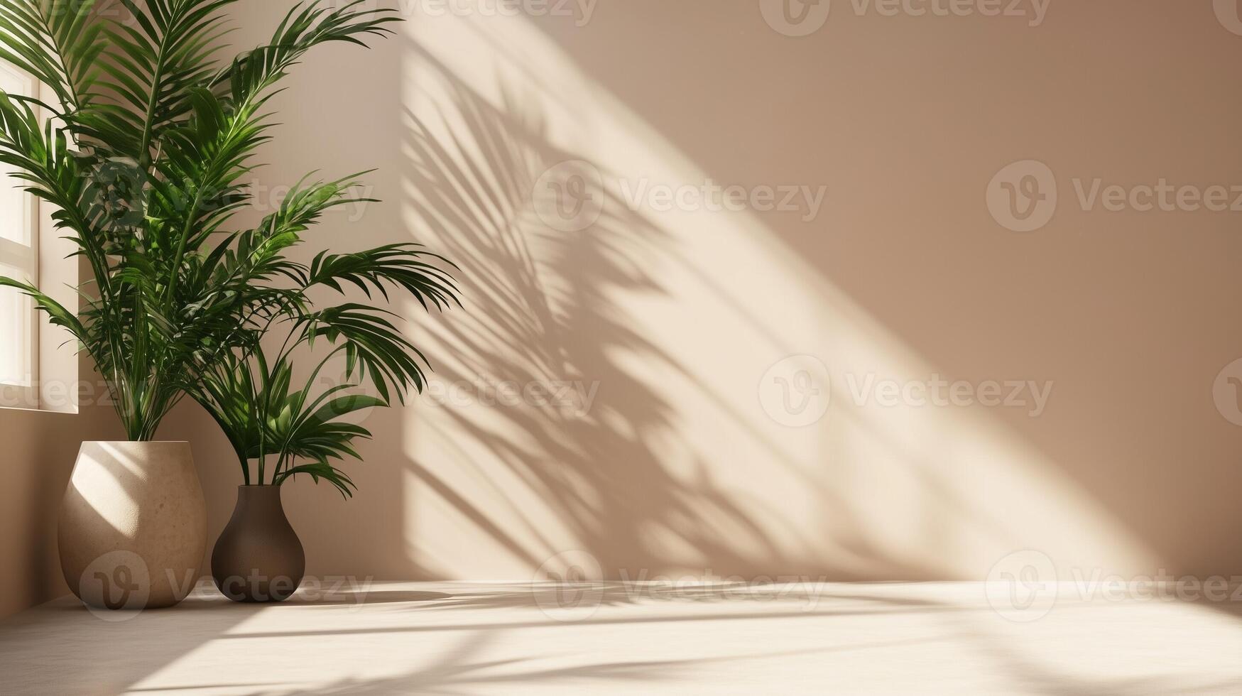 Earth tone wall cement blank with sun bright shadow from window and palm tree photo