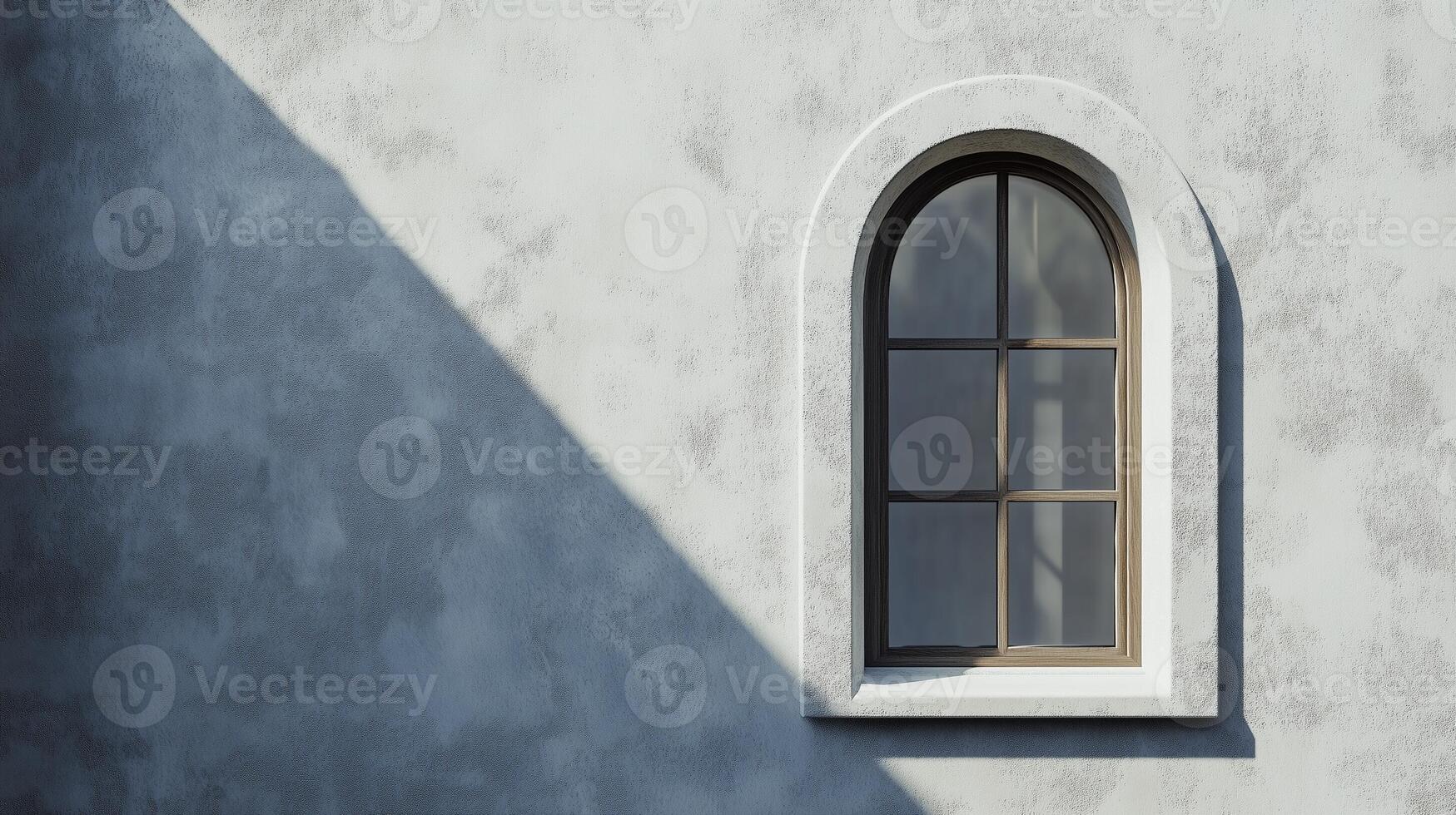 Aesthetic arch window shape on white wall with shadow leaves tree classing building architecture photo