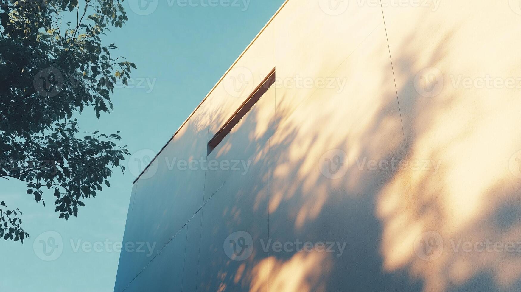 White facade of modern building and tree shadow wall when sun bright photo