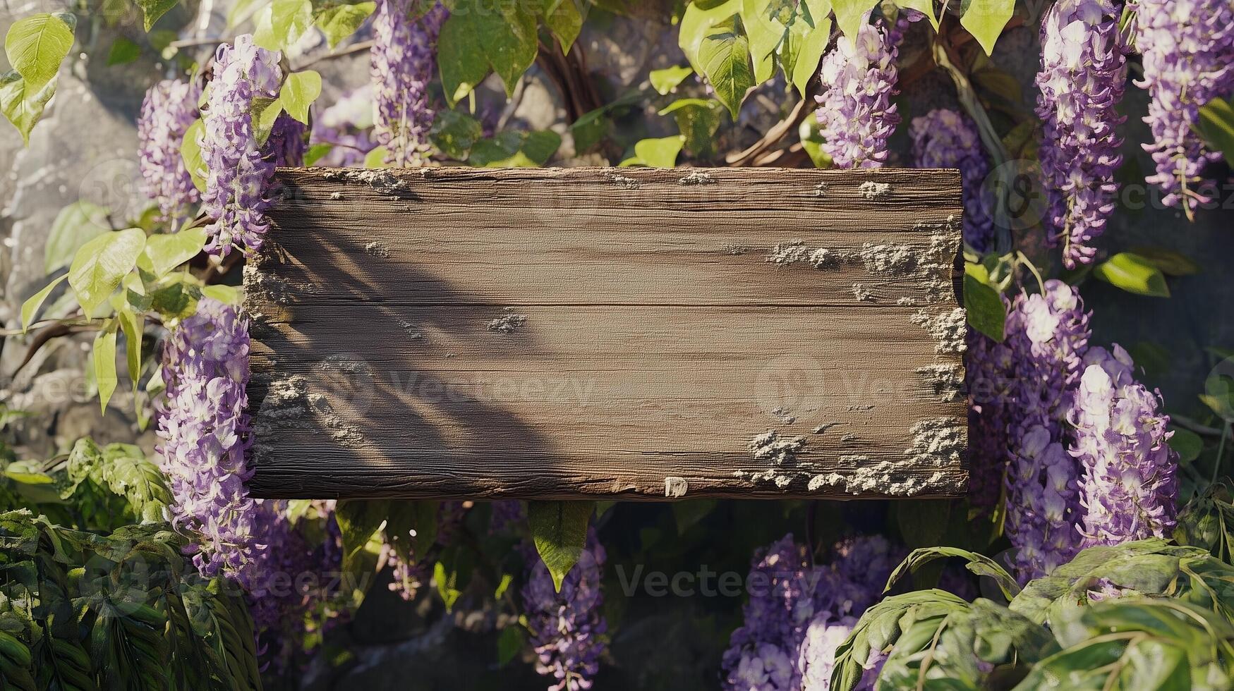 Blank wooden trunk board for label information important in white wisteria flower botanical field garden photo
