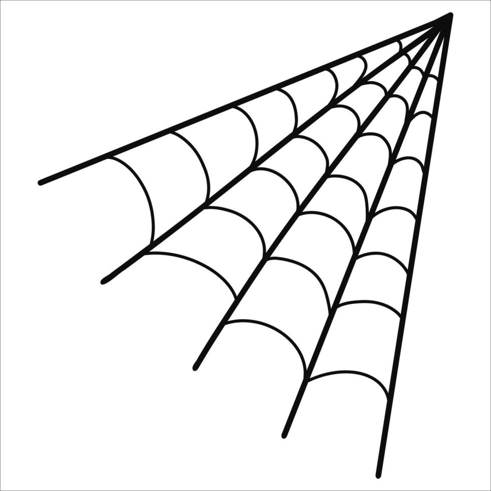 Hand drawn spider web illustration, cobweb on white background vector