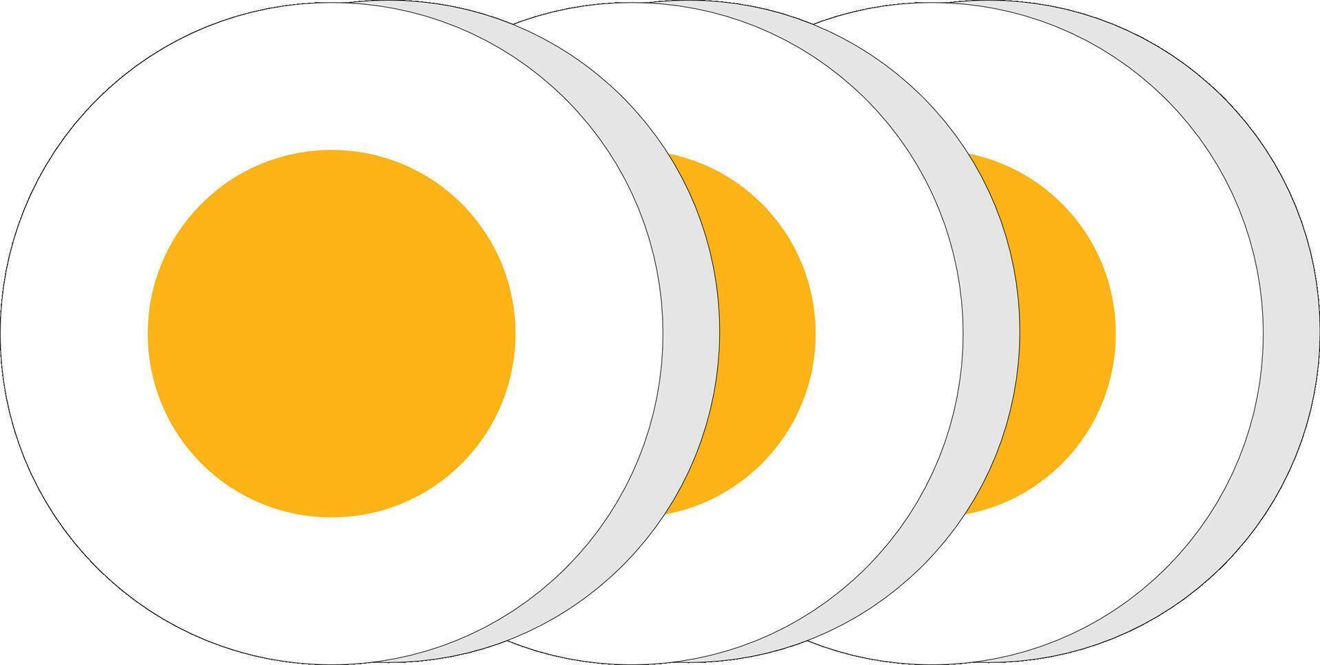chopped boiled egg make three pcs with fully circle vector