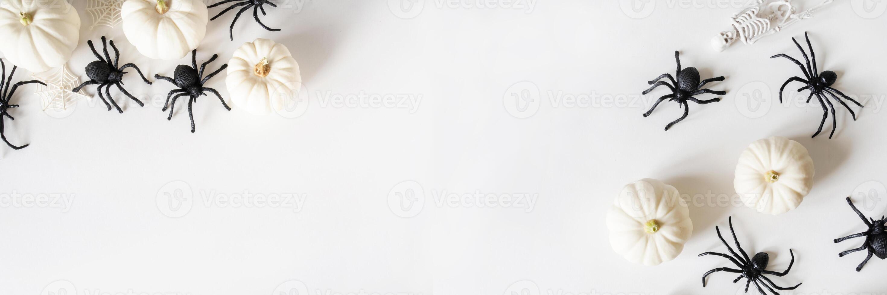 White Halloween background with white pumpkins, webs, sceletons, black spiders on a white background. photo