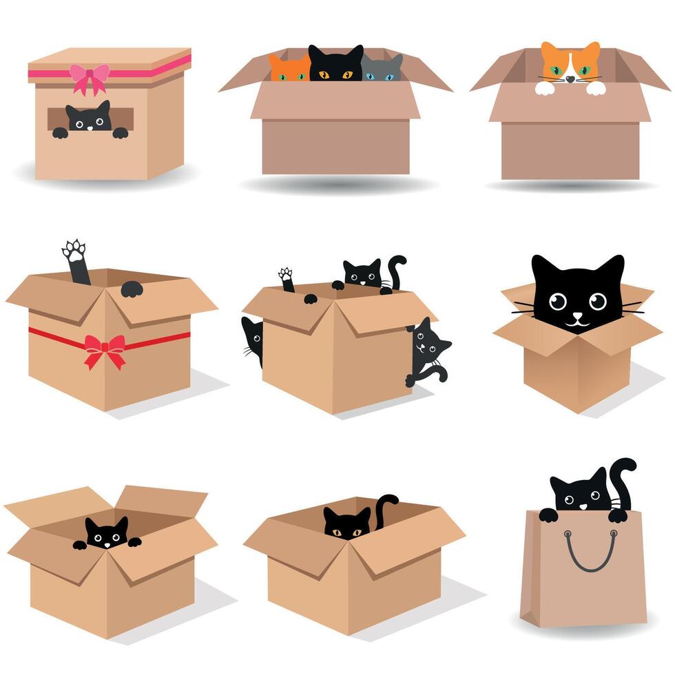 Set of cute cats in cardboard boxes vector