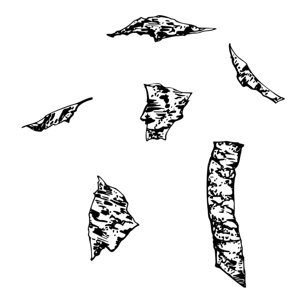 Seaweed nori flakes, dried bark chips, dead leaves, skin fur peels, shredded paper with ink paint stains. Illustration hand drawn in pen and ink for shop poster, nature brochure, abstract art vector