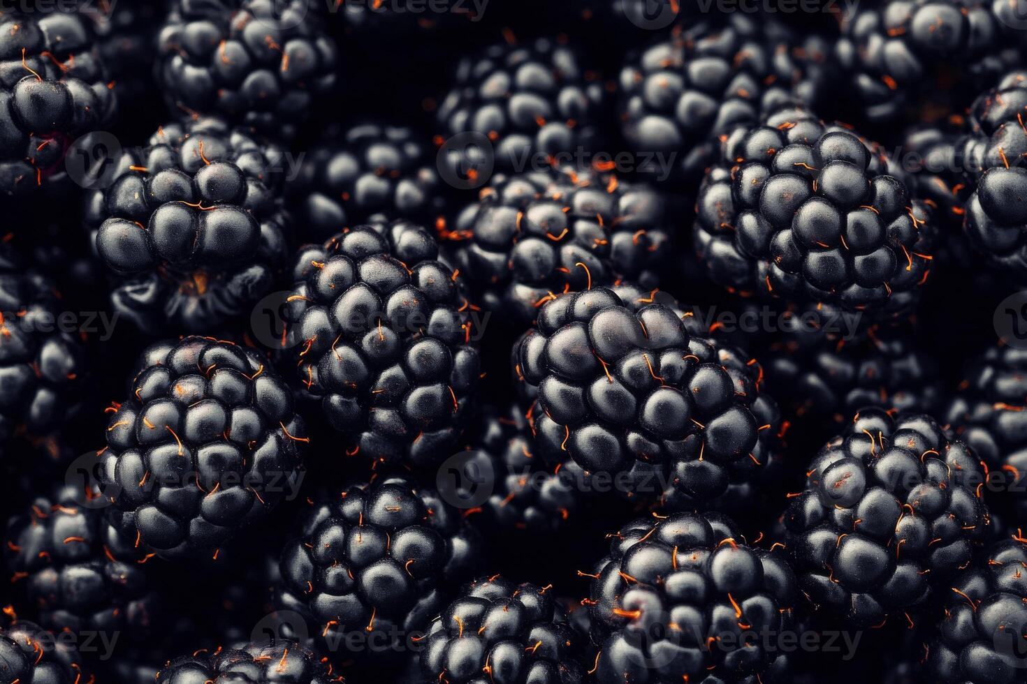 Blackberries are a great source of antioxidants photo