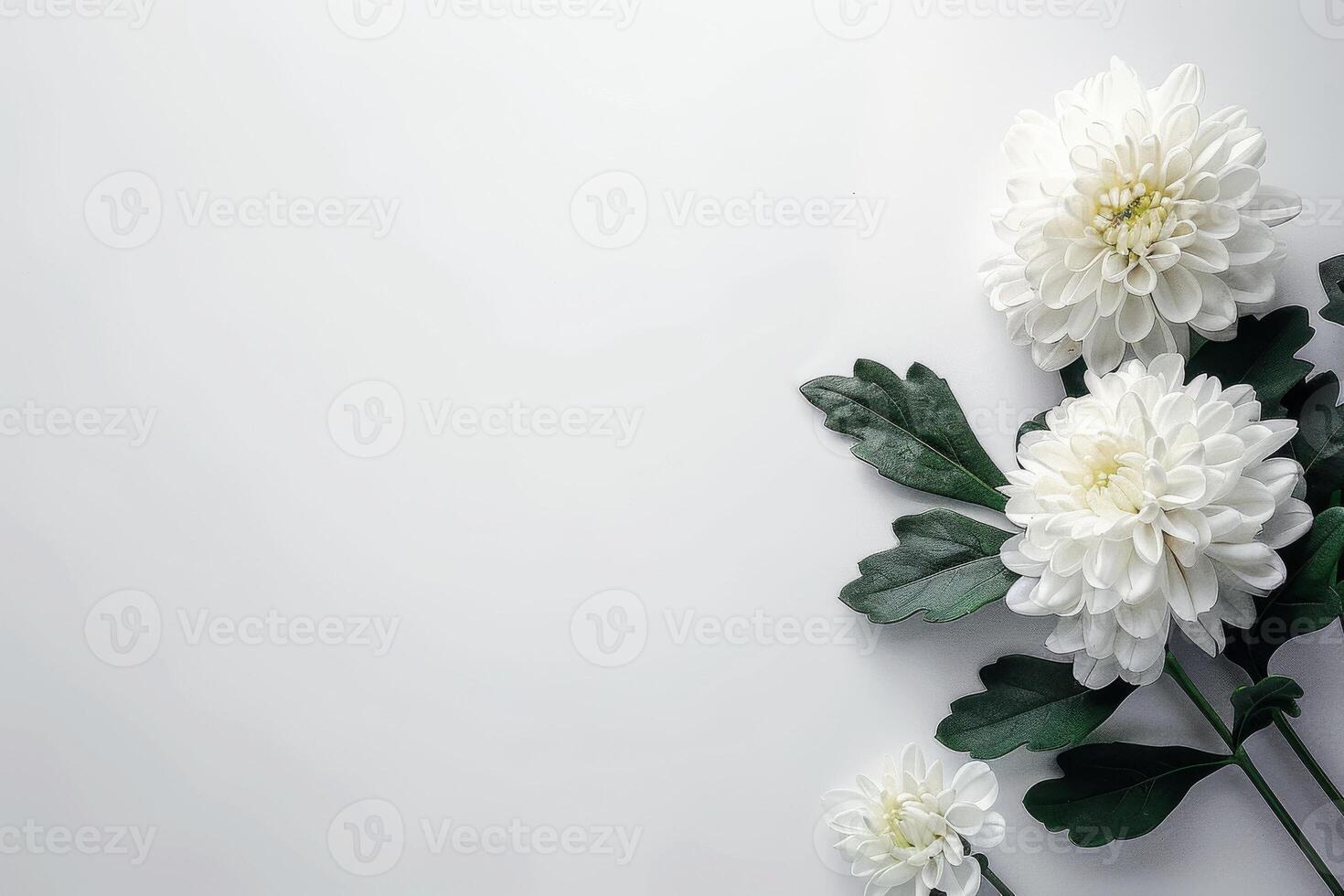 White flowers on a white background photo