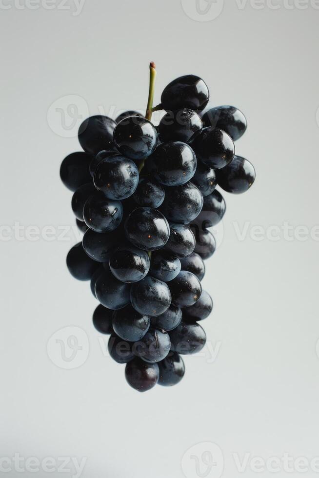 A bunch of black grapes on a white background photo