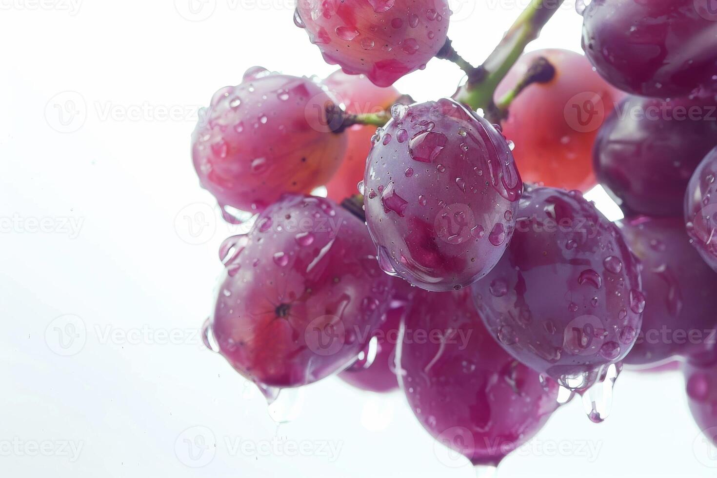 A bunch of grapes with water droplets on them photo