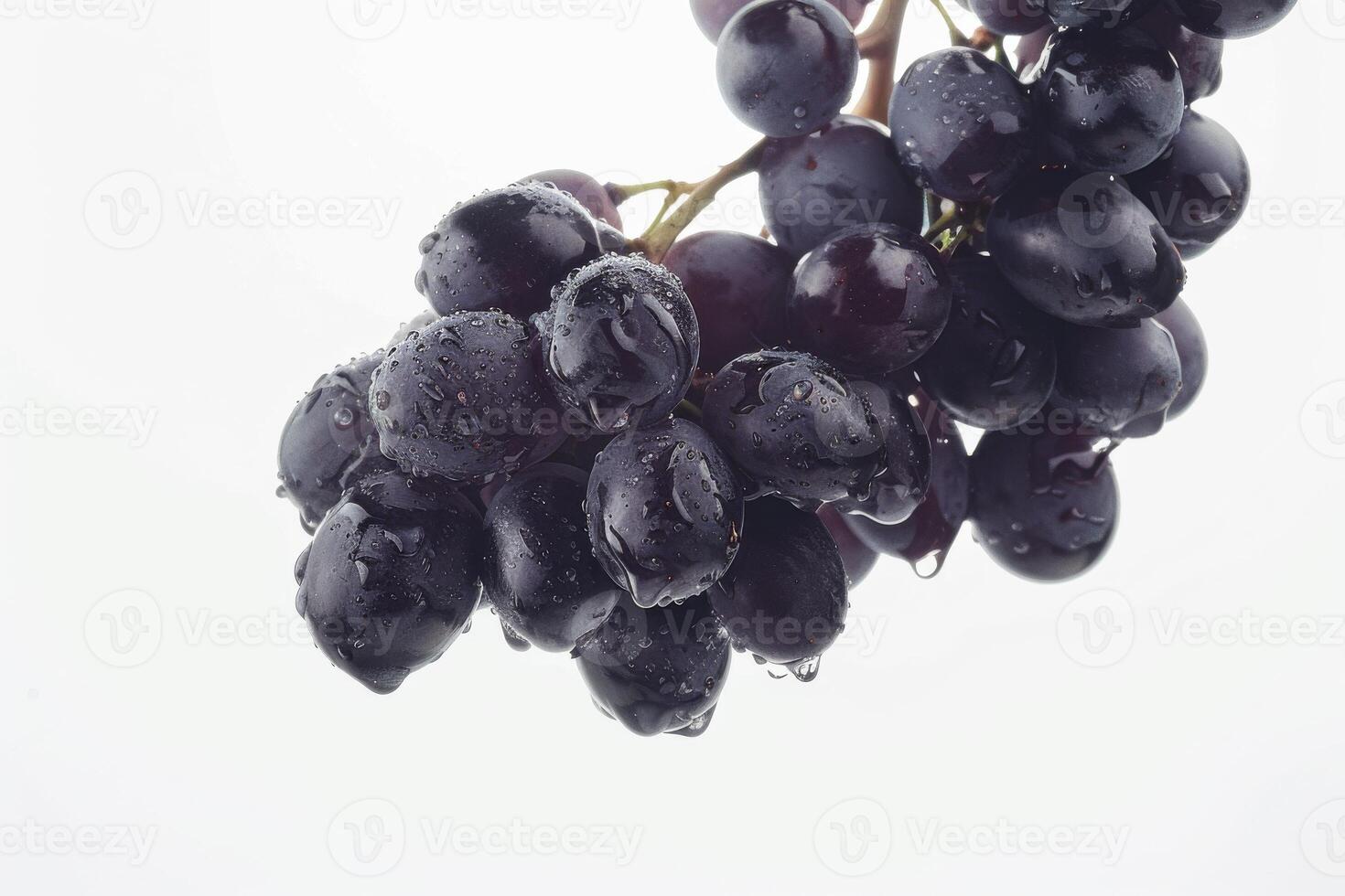 A bunch of grapes hanging from a branch photo