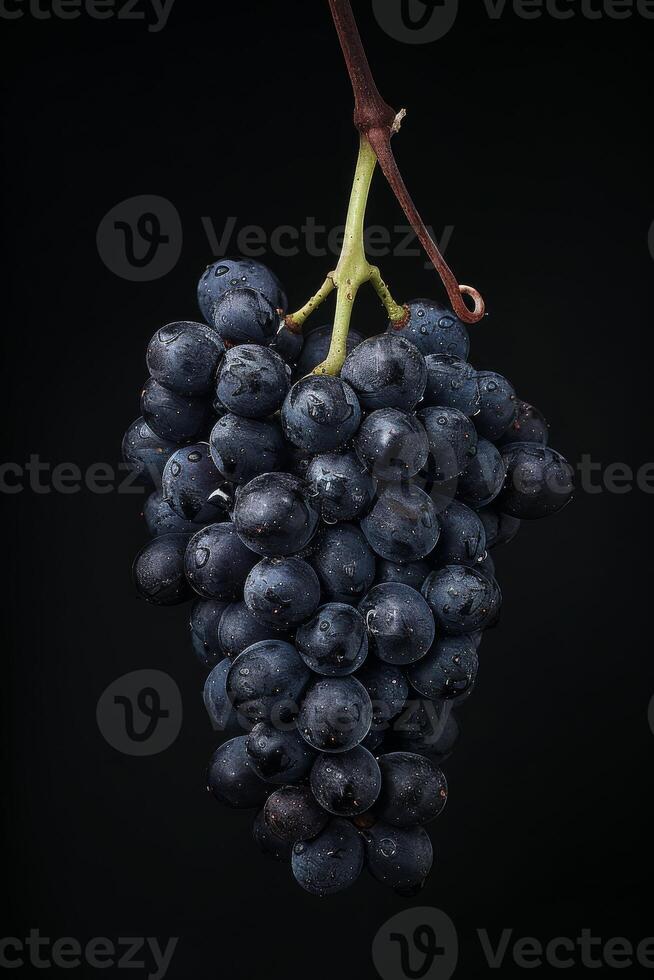 A bunch of grapes hanging on a black background photo