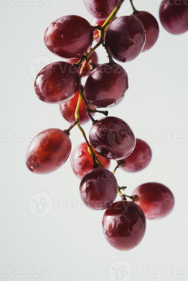 A bunch of grapes hanging from a branch photo