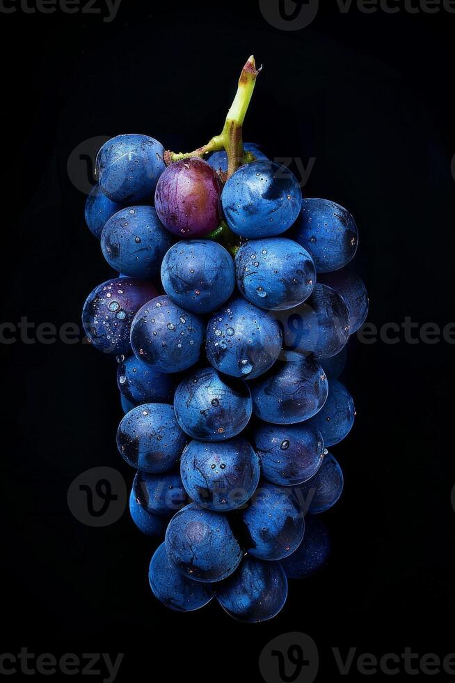 A bunch of grapes on a black background photo