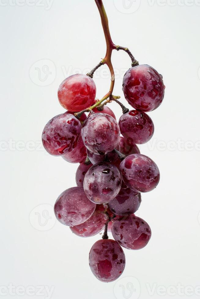 A bunch of grapes hanging from a branch photo