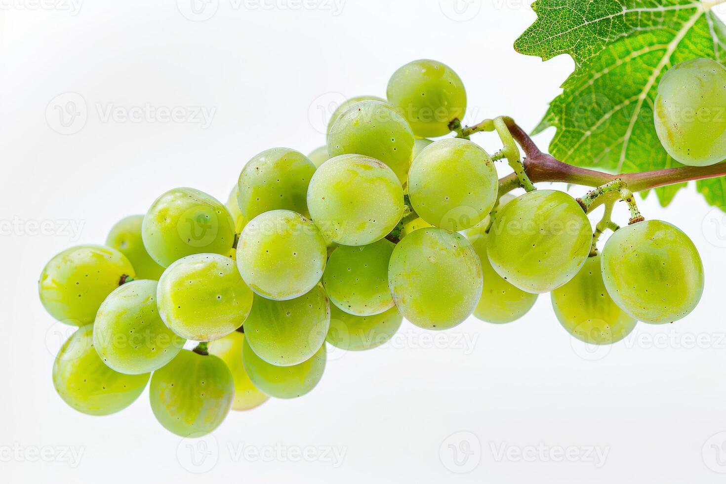 A bunch of green grapes on a white background photo
