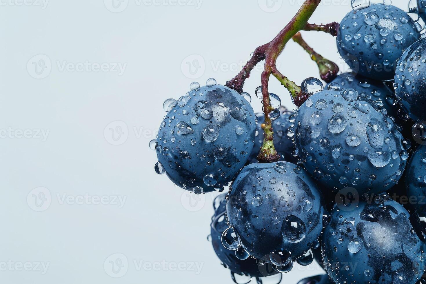 A bunch of grapes with water droplets on them photo